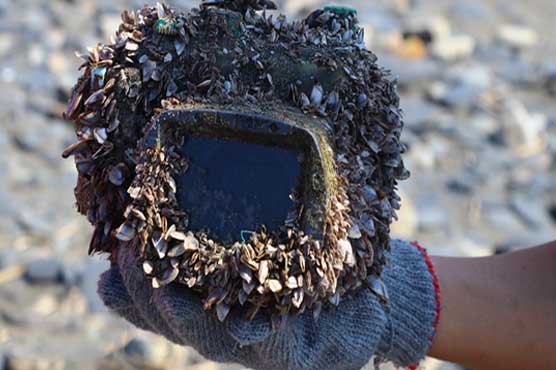 The ocean-lost camera was found in the original condition after 2 years