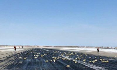 RUSSIAN, GOLD, AND, SILVER, RAIN, FROM, SKY