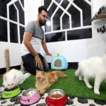 The cats Hotel were opened in Iraq