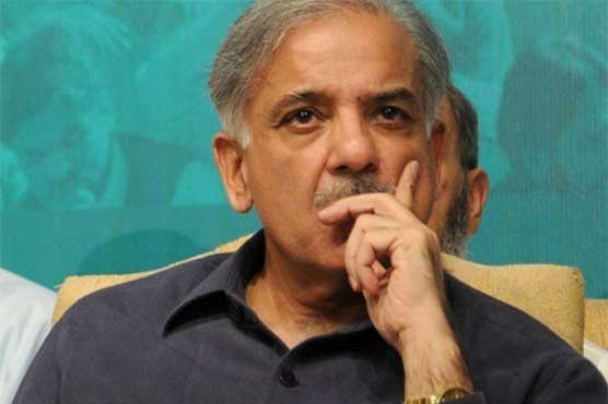 The case of independent senators' participation in the N League, rejected Shahbaz Sharif's petition