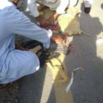 Big plan for terrorism has failed, explocives suicide jackets and explosives in Islamabad
