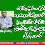 MIAN MUHAMMAD HANIF, PAKISTAN, MUSLIM, LEAGGUE, N, FRANCE, CHIEF ORGANIZER