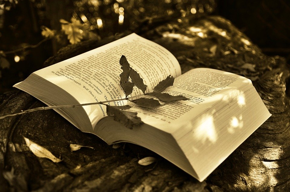 A lamp, book and a hope, asset