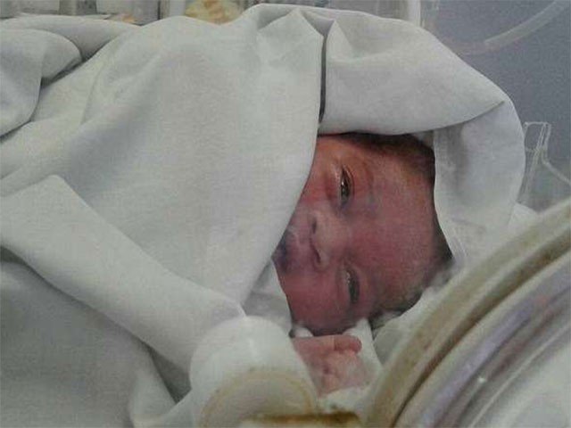 The dog saved the life of infant