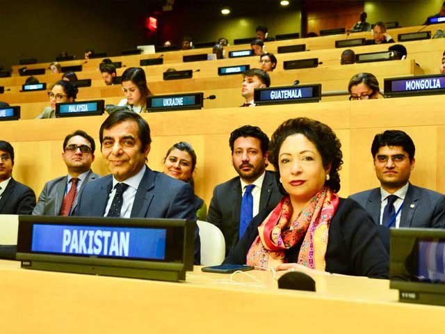 Pakistan elect member of the United Nations 2 main organizations