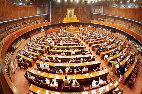 Tax Amnesty Ordinance presented in the National Assembly, opposed PPP and PTI