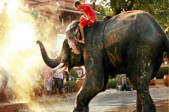 Annual Water Festival in Thailand started