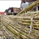 Action against non payer sugar mills,, Ordering for payment to farmers amount
