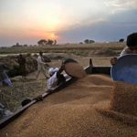 Explosion of thousands of fake applications to get wheat bar mill in Punjab