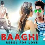 Punishment to Salman: The celebration of the success of film Baaghi 2 cancelled