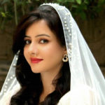 I harassed women, Rabbi Parzada