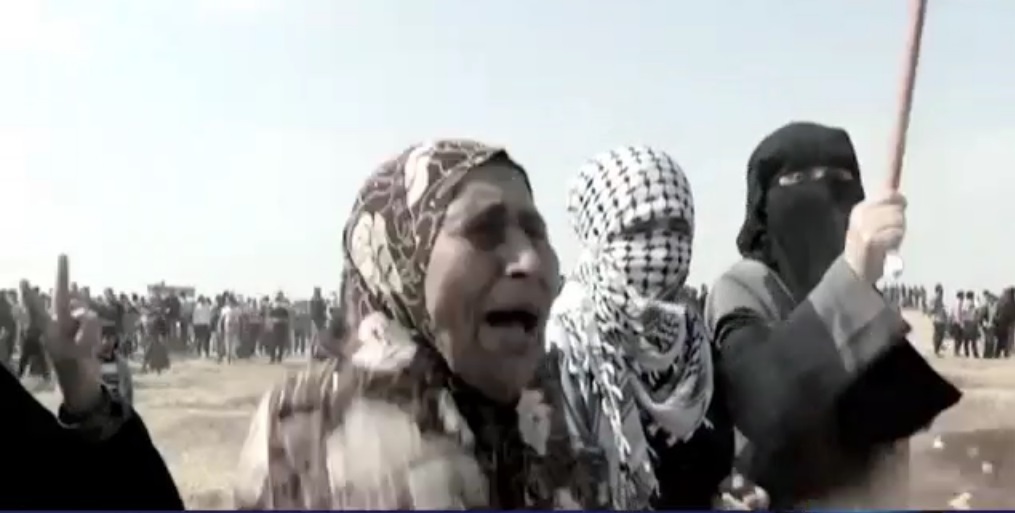 Israeli forces kill three Palestinians in Gaza border