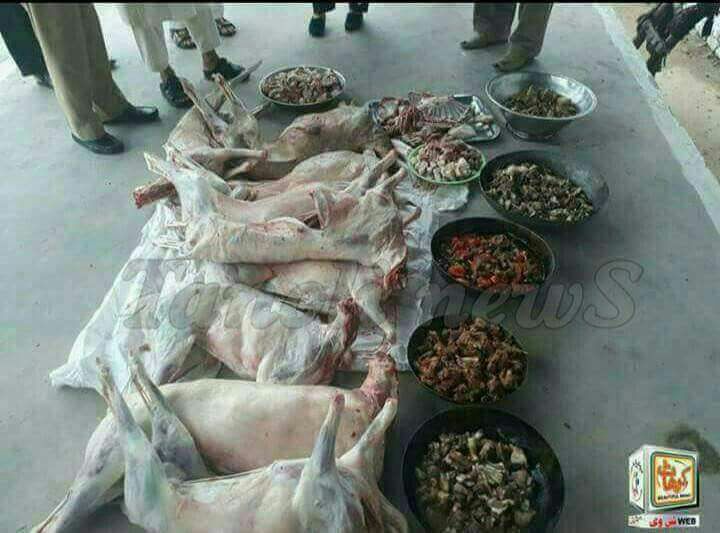 DOGS, BEING, EATEN, IN, PLACE, OF, MOTTON, IN, PAKISTAN, KOHAT
