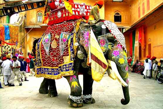 Disclosure of use of blind and ill elephants in India