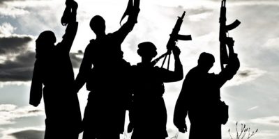 Terrorism, its fault