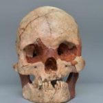 Ancient human skull discovered 16,000 years from China