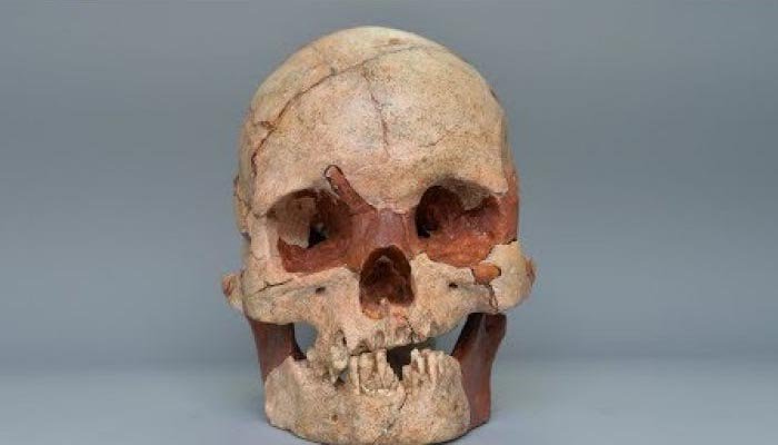 Ancient human skull discovered 16,000 years from China