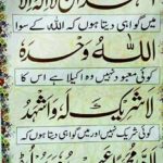 Do you know which * * requirements are mentioned in the Qur'an?