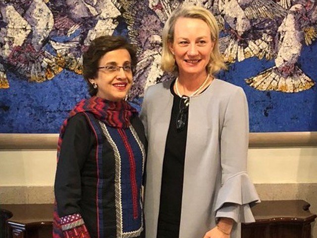 Deputy Foreign Minister visits Pakistan; Talk on Col. Joseph's matter