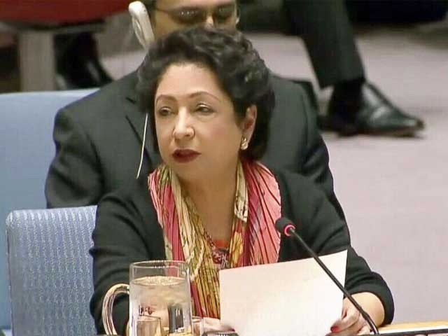The dispute resolution is necessary for protect the youth from war, Maleeha lodhi