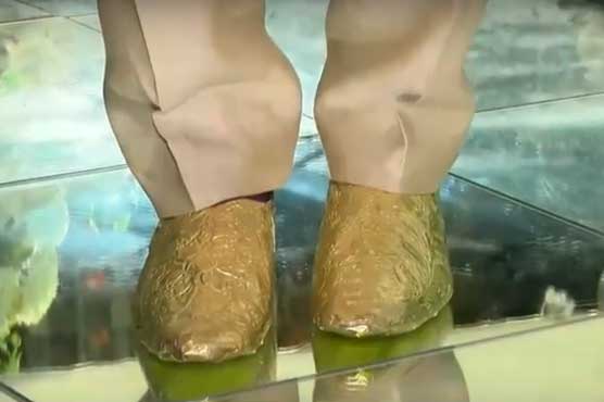 Gold boots, tie and 25 lakh clothes Zebin-dynasty