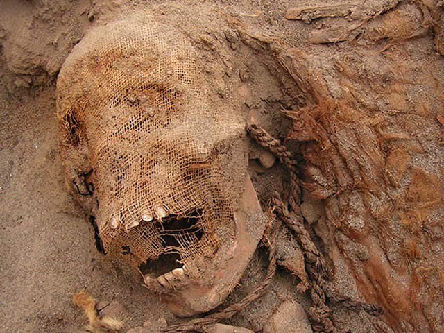 Discover the children's biggest altitude in human history