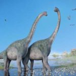 Discover the signs of footsteps of world biggest Dinosaur
