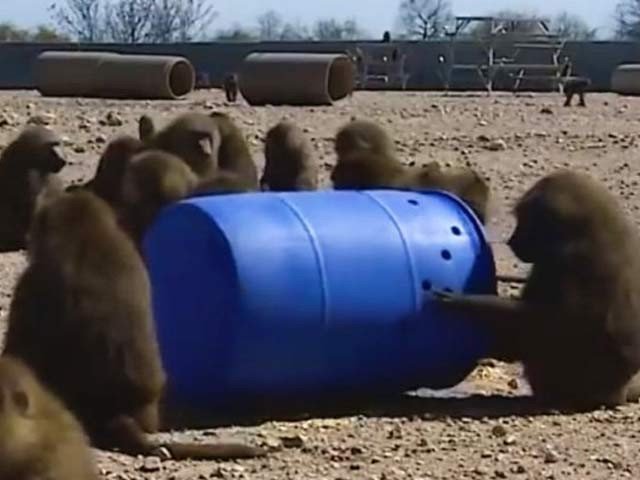 Escape from the Four Babylon Research Centers, making the empty drum as ladder