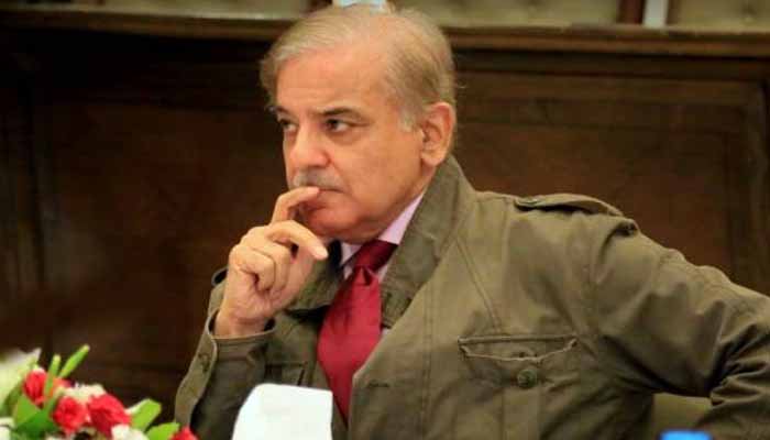 NAB accused of Shahbaz Sharif's son-in-law