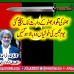 qari, farooq ahmed, farooqi, ex-organizer, for, Europe, ppp