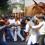 India: Cow slaughtering blamed, another Muslim killed by violence