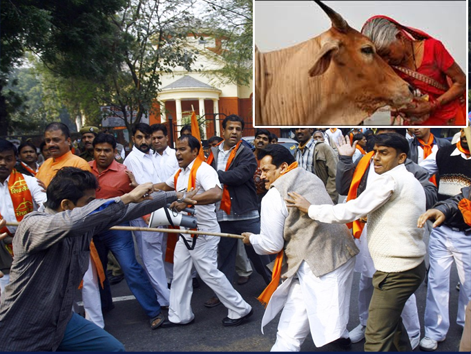 India: Cow slaughtering blamed, another Muslim killed by violence