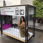 Mallika Sherawat unique protest in the cannes Film Festival against sexual exploitation of children