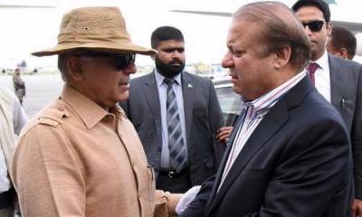 How does Shahbaz Sharif scold from Nawaz Sharif from 1988 till now?