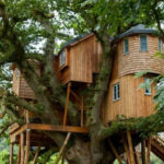 The world's first 360-degree rotating Treasury Tracehouse is ready