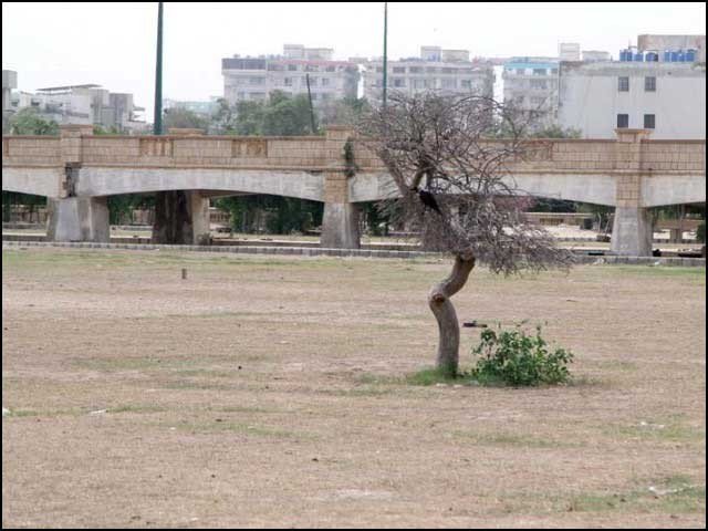 The mysterious tree tree in the dash trip