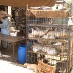 Reduction of chicken meat buyers in Karachi