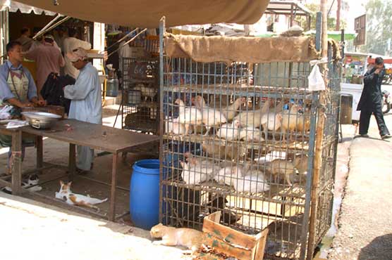 Reduction of chicken meat buyers in Karachi