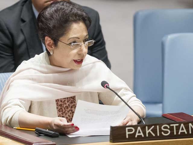 Pakistan expresses solidarity with Palestinians, Maleeha Lodhi