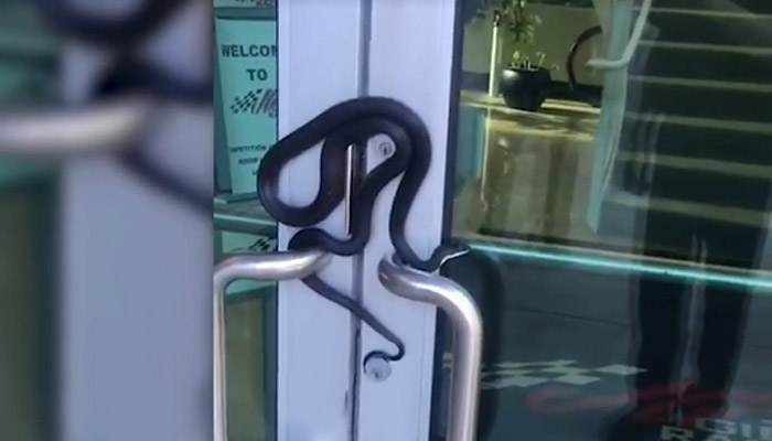 The car racing company occupy the loop