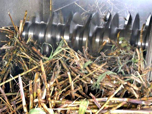 Sugar mill owners started crushing farmers instead of sugarcane, Chief Justice