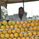 Which country produces more Mango?