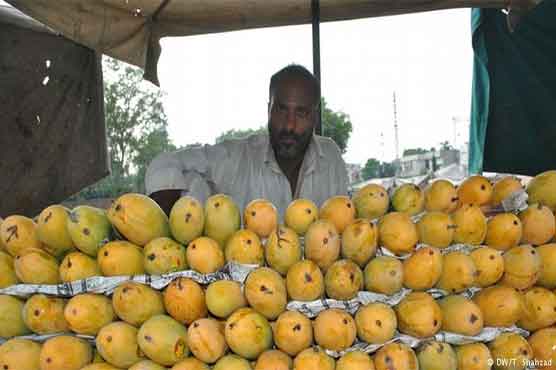Which country produces more Mango?