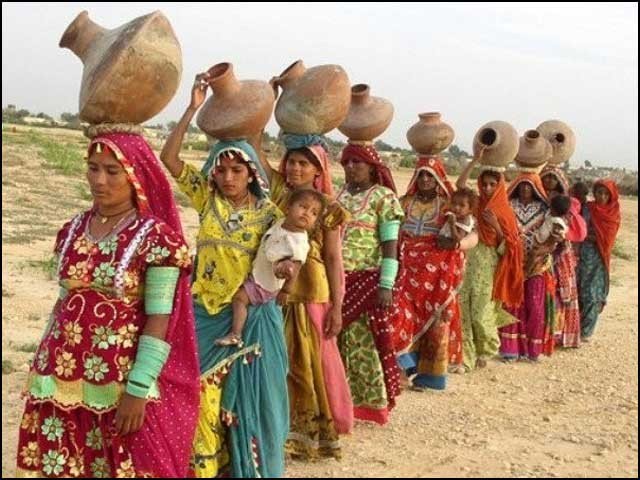 Sain Sindh and government