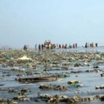 DHA made a mistake in the beach in Karachi, Water Commission