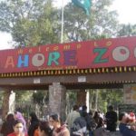 Lahore zoo animals will no longer be in artificial rain