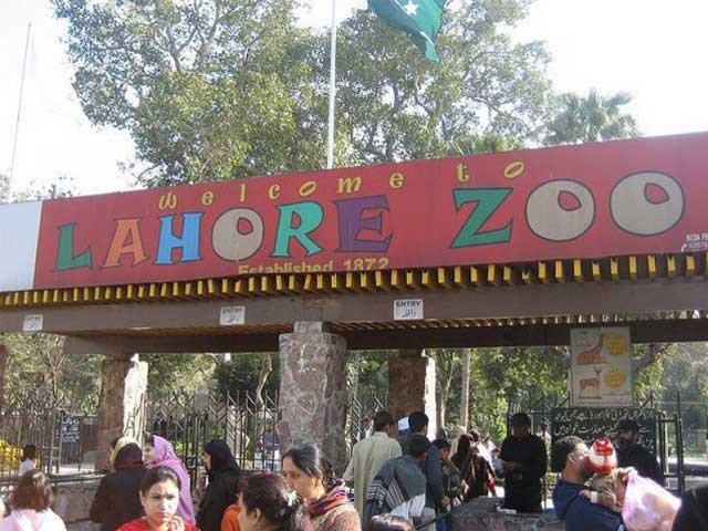 Lahore zoo animals will no longer be in artificial rain