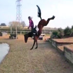 The horse dropped the rider into the water not liked