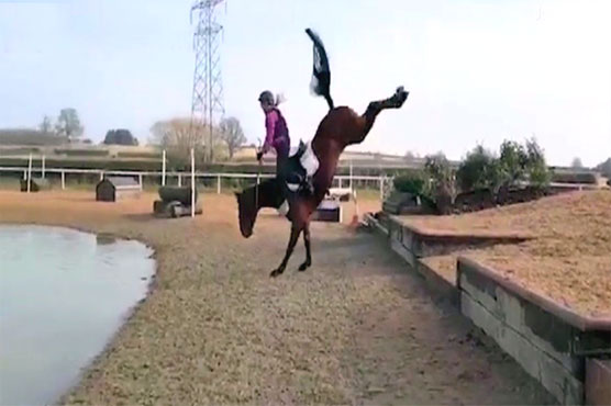 The horse dropped the rider into the water not liked