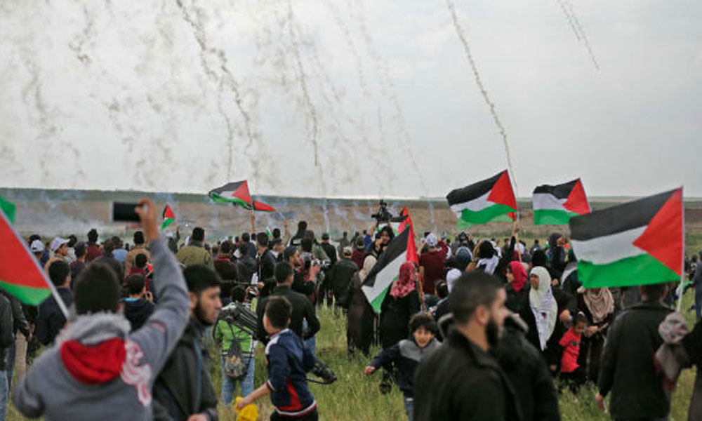 Zech Gold salted the wounds of the Palestinians of Smith